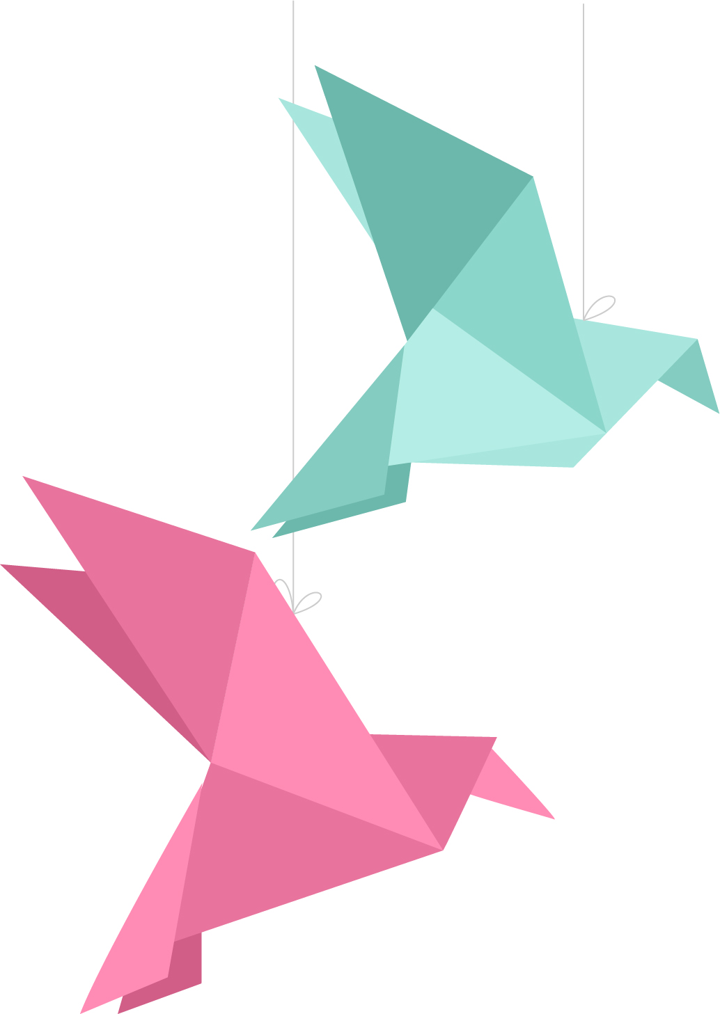 uccelli